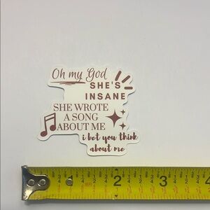 ⚪️Taylor Swift Inspired Vinyl Sticker “Oh my God She’s Insane…”‎